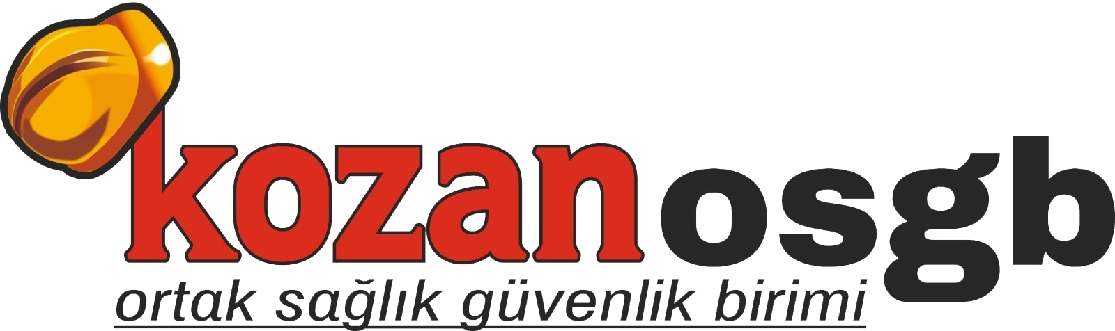 Kozan OSGB | İş Sağlığı ve Güvenliği Hizmetleri